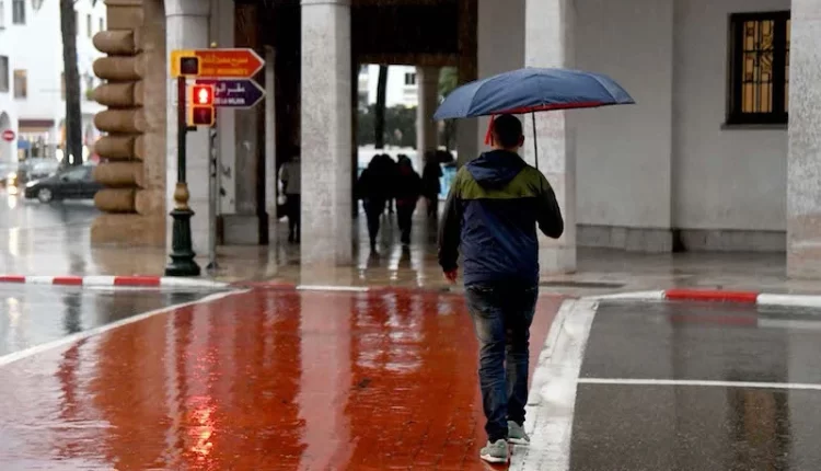 نشرة إندارية