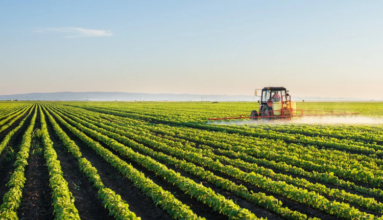 التساقطات المطرية