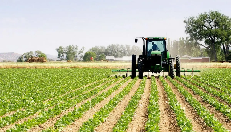 جهة الرباط سلا القنيطرة.. تعزيز وتعديل برنامج المزروعات بالمنطقة