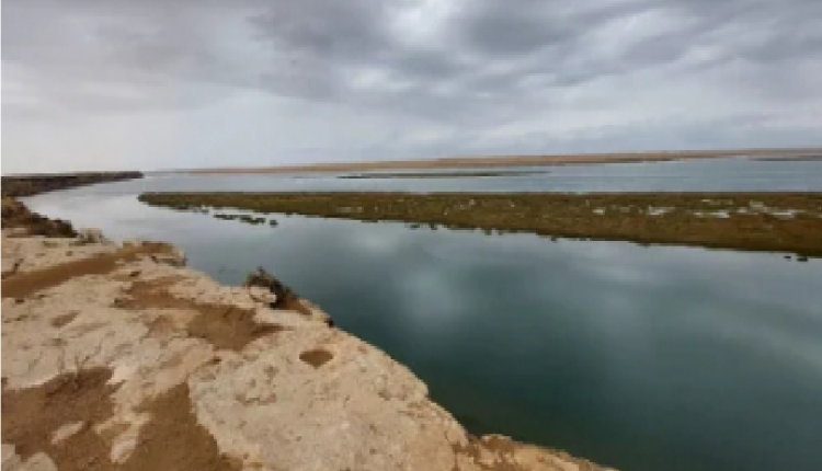 المنتزه الوطني أخنيفيس، جوهرة التنوع البيولوجي تجمع بين البحيرة والبحر والصحراء