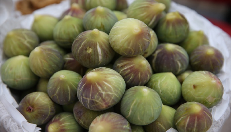 دكالة ... إنتاج 8454 طن من التين