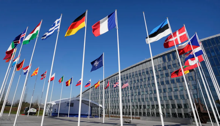 تخليد دكرى الناتو