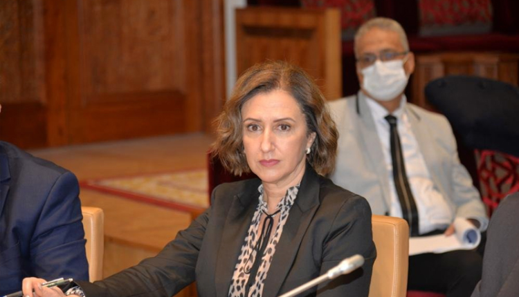 وزيرة السياحة