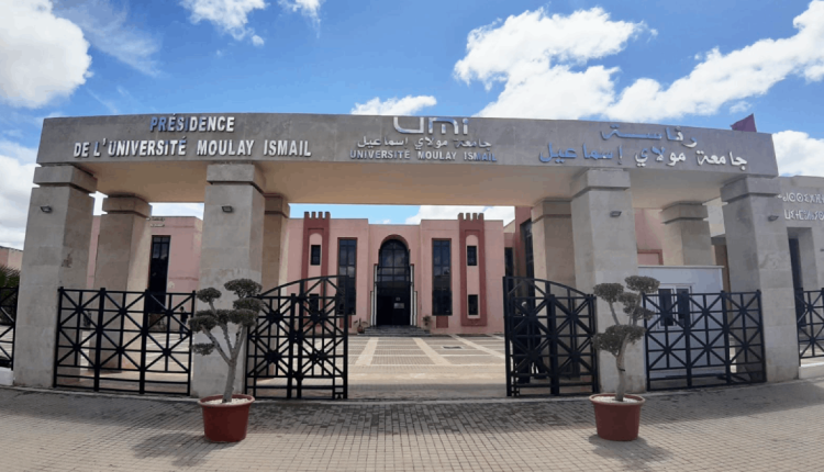 جامعة "مولاي إسماعيل" تتصدر تصنيف البحث العلمي في "المغرب" وفقًا لتصنيف "Times Higher Education"