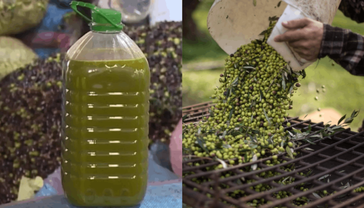 تسجيل ارتفاع كبير في أسعار اللحوم وزيت الزيتون بالمغرب ووزير الفلاحة يتباكى ويرجع الأمر للطبيعة