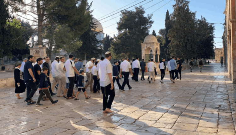 "بن غفير" يقود عملية اقتحام المسجد الأقصى في رابع أيام "عيد العرش" وسط حراسة مشددة