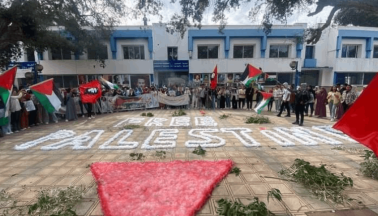 الحركة الطلابية المغربية ترفع صوت دعم صمود فلسطين من قلب القنيطرة