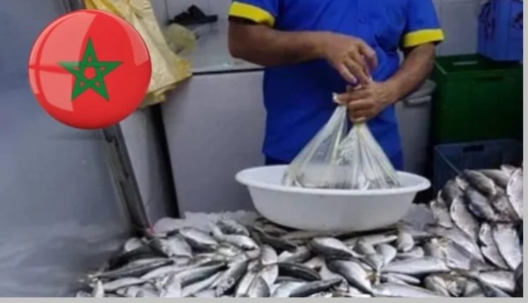 أسعار الأسماك