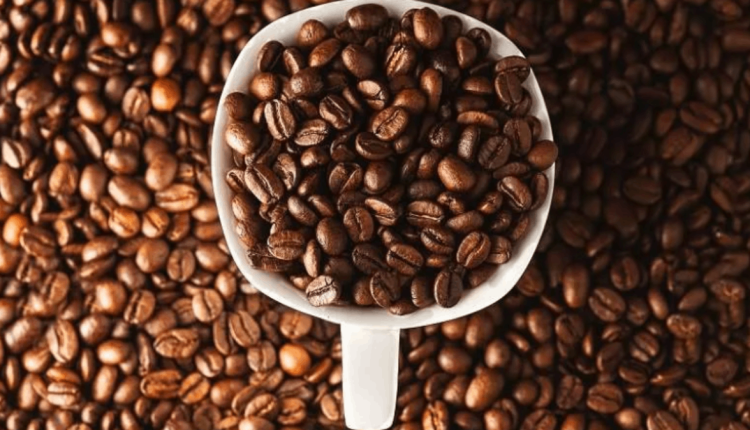 الائتلاف المغربي لدعم فلسطين ينظم وقفة تضامنية حاشدة في فاس للتنديد بجرائم إسرائيل ضد المدنيين في غزة