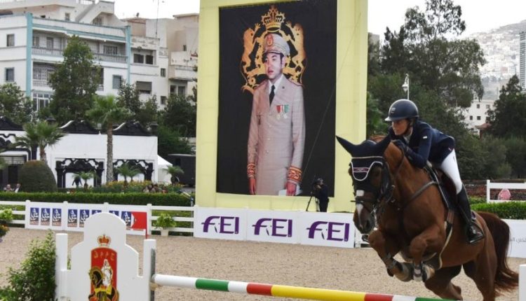 champion maroc de cheval