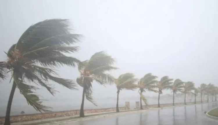 مديرية الأرصاد الجوية تحدر من هبات رياح قوية