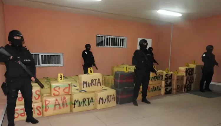 ضبط أربعة أطنان من مخدر الشيرا داخل ضيعة فلاحية