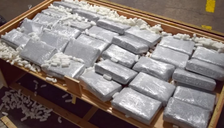 البرازيل تفشل في تهريب 134 كيلوغرامًا من مخدر الكوكايين في ميناء سانتوس