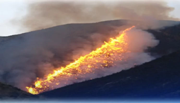 اندلاع حريق في غابة جبل "محرم بابويخباش" بإقليم الناظور