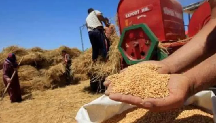 تراجع أسعار الحبوب