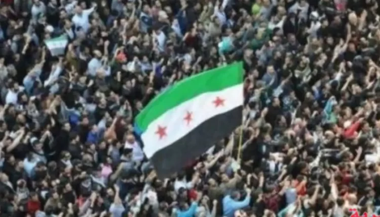 الأكراد يرفعون علم "الثورة السورية"