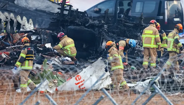 كوريا الجنوبية تتعرف على هويات 141 قتيلا جراء حادث تحطم طائرة