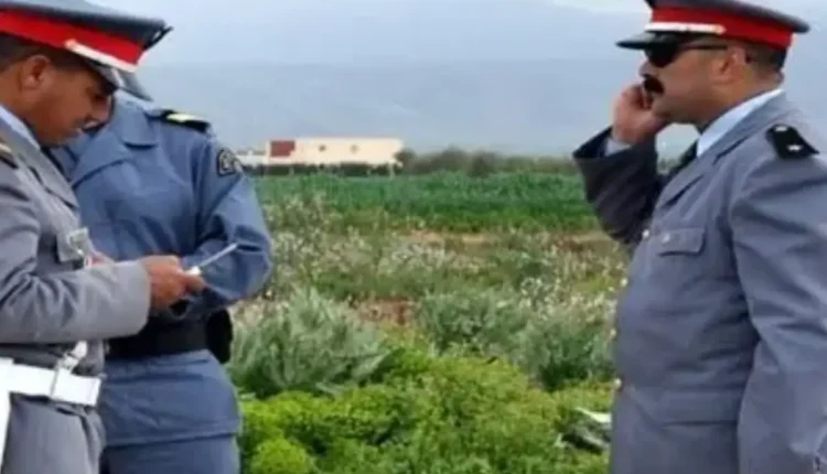 درك سيدي بوزيد يداهم وكرَيْن يستخدمان لتخزين وتوزيع المخدرات بمناسبة اقتراب رأس السنة