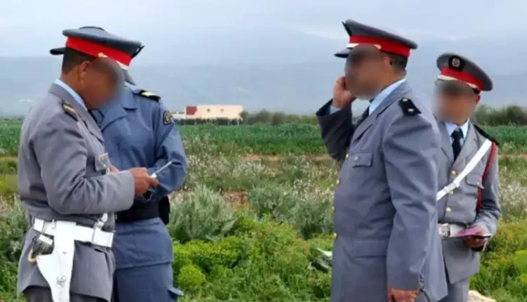 متابعة 37 دركيا بقضايا تتعلق بالإتجار بالمخدرات