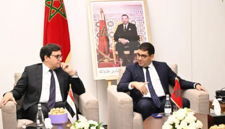 محمد المهدي بنسعيد يجري مباحثات مع عدد من نظرائه العرب في الرباط