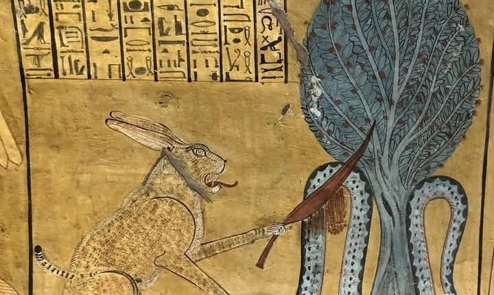 هجوم الوشق على الجنود الإسرائيليين: حقيقة الجدل المنتشر في مصر