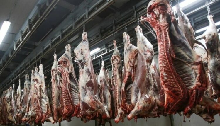 شركة الدار البيضاء للخدمات تنفي توقف المجازر خلال عيد الأضحى