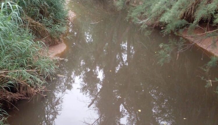 الصخيرات :الدرك يفكك شبكة تستعمل مياه عادمة لسقي الخضر