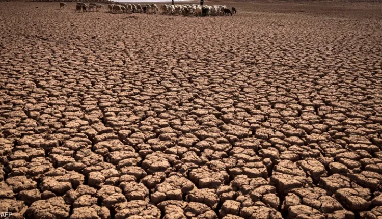 تقرير يكشف التحديات المناخية التي سيواجهها المغرب