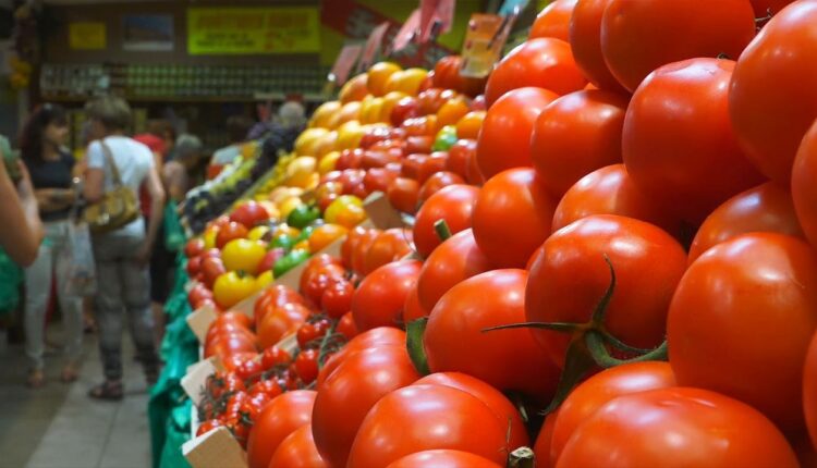 إنخفاض أسعار الطماطم يخفف العبء عن كاهل المستهلكين والخضر الأخرى تواصل الارتفاع