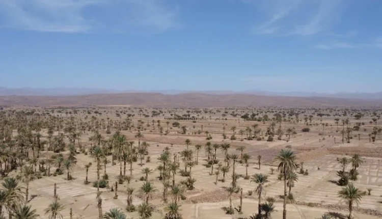 الجفاف يفرض رقابة صارمة على استهلاك المسابح الفاخرة