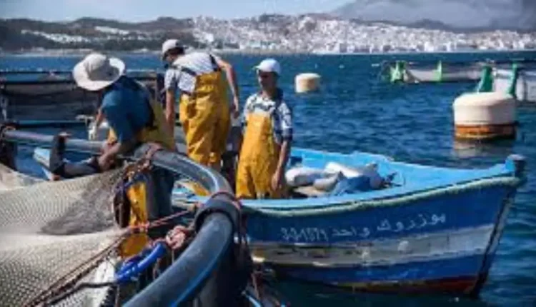 مندوبية الصيد البحري في طنجة تمنع إبحار القوارب التقليدية بسبب سوء الأحوال الجوية