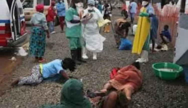 نيجيريا تسجل 155 وفاة جراء حمى لاسا خلال الأشهر السبعة الماضية