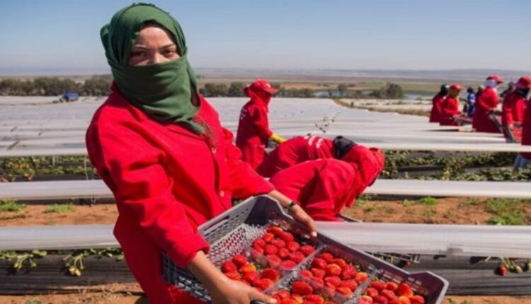وفاة عاملة مغربية في حادث عمل مأساوي بإسبانيا
