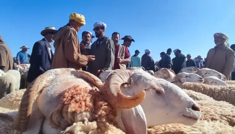 فريق التقدم والاشتراكية يطالب باجتماع عاجل لمناقشة إشكالية إحصاء القطيع الوطني