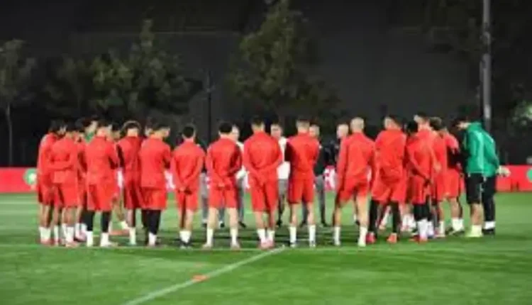 المغرب يبدأ تحضيراته لمواجهتي النيجر وزامبيا في تصفيات كأس العالم 2026