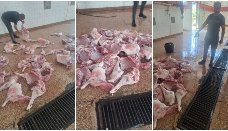 الدرك الملكي يحبط محاولة تهريب كميات كبيرة من اللحوم الفاسدة بطنجة